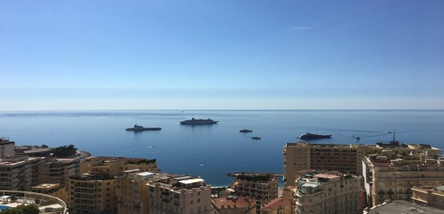 Купить 3 комнатные апартаменты в Монако за 6350000 Евро