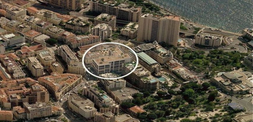 Купить 5 комнатные апартаменты в Монако