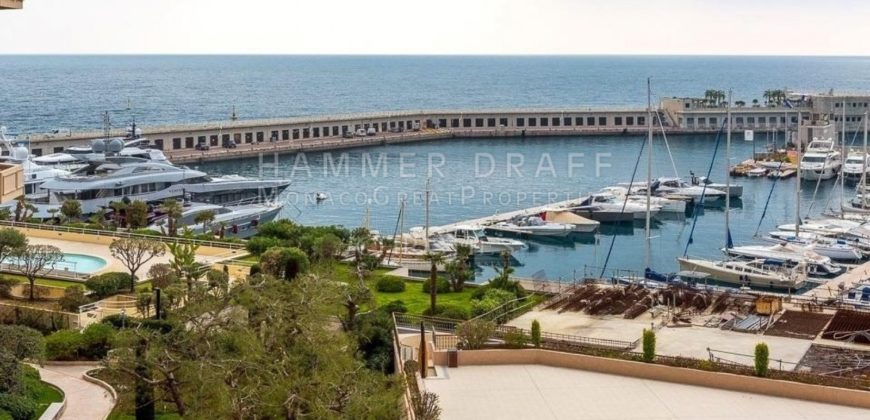 Купить 4 комнатные апартаменты в Монако за 22000000 Евро