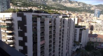 Купить 7 комнатные апартаменты в Монако
