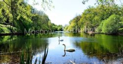 Апартаменты в Берлине, Германия, 36 м2