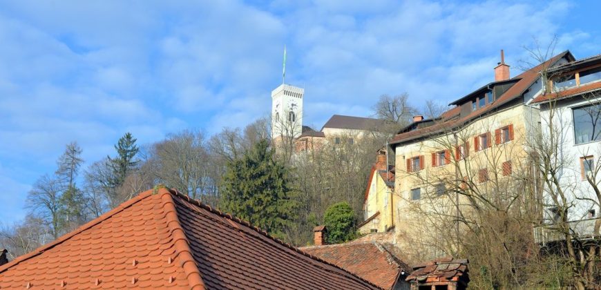 Апартаменты в Любляне, Словения, 109 м2