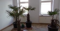 Доходный дом в Саксонии, Германия, 3 м2
