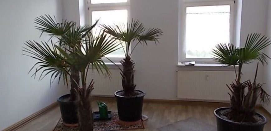Доходный дом в Саксонии, Германия, 3 м2