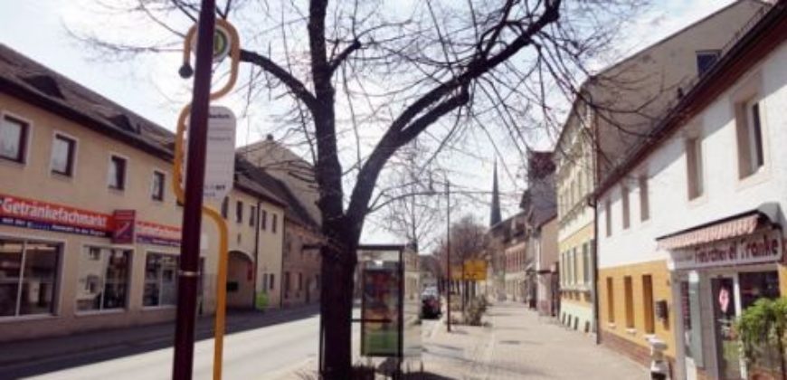 Доходный дом в Тюрингии, Германия, 378 м2