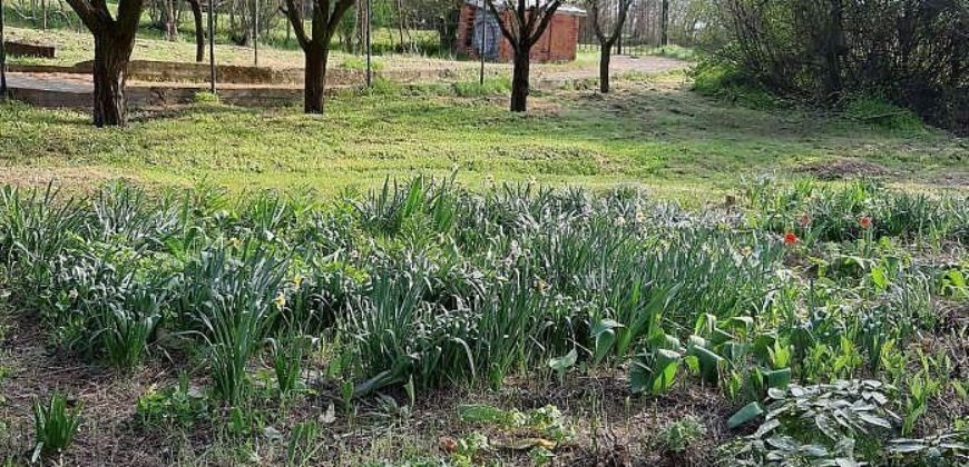 Дом в Бургасе, Болгария, 80 м2
