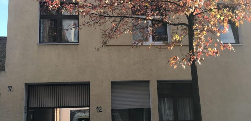 Дом в Дуйсбурге, Германия, 387 м2