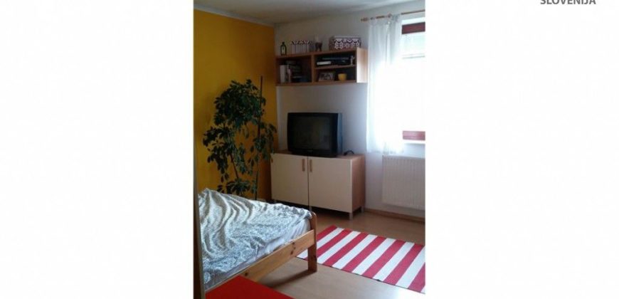 Дом в Мариборе, Словения, 318 м2