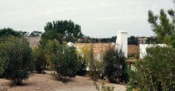 Дом в Сетубале, Португалия, 265 м2