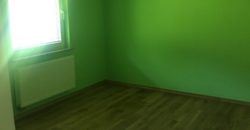 Дом в Словенске-Конице, Словения, 271 м2