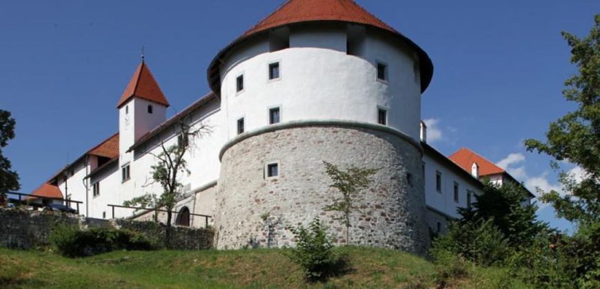 Дом в Велике Лашче, Словения, 160 м2