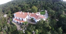 Ферма в Синтре, Португалия, 944 м2