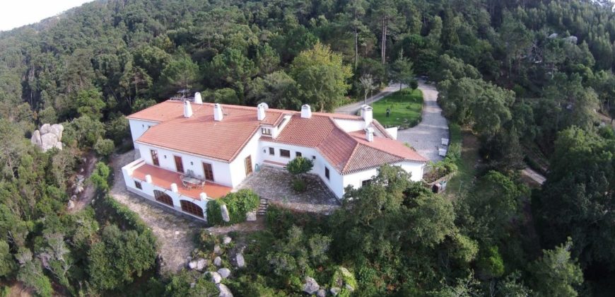 Ферма в Синтре, Португалия, 944 м2