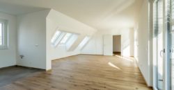 Инвестиционный проект в Вене, Австрия, 6500 м2