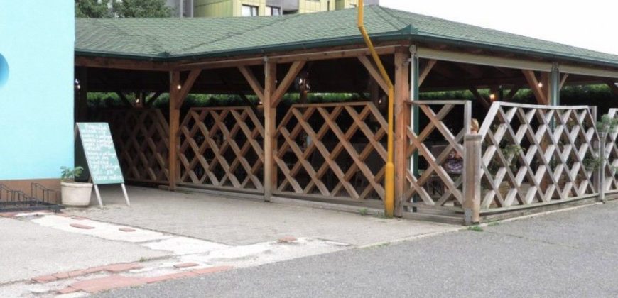 Кафе, ресторан в Мариборе, Словения, 240 м2