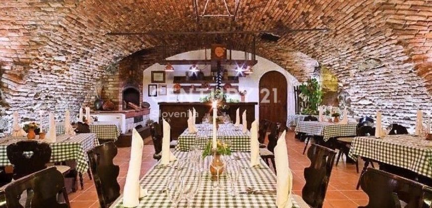 Кафе, ресторан в Мариборе, Словения, 644 м2