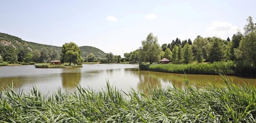 Коммерческая недвижимость Bicske, Венгрия, 1440 м2