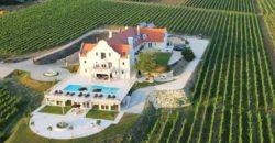 Коммерческая недвижимость Monoszló, Венгрия, 2437 м2