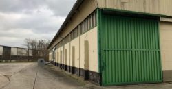 Коммерческая недвижимость в Бранденбурге, Германия, 8880 м2