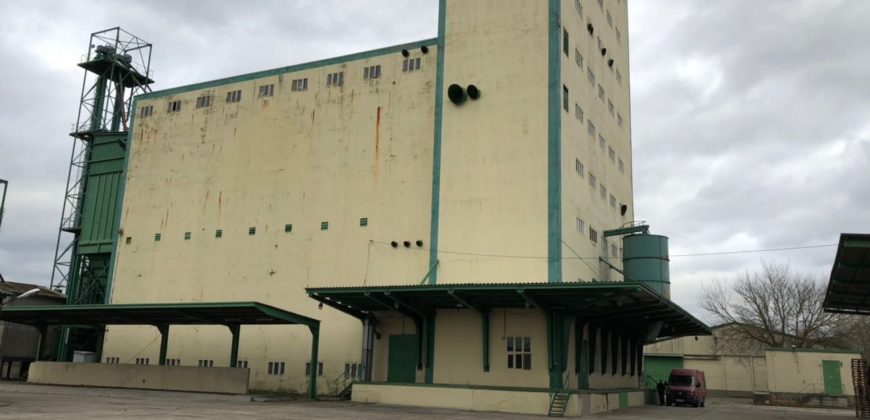 Коммерческая недвижимость в Бранденбурге, Германия, 8880 м2