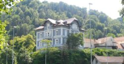 Коммерческая недвижимость в Целе, Словения, 956 м2