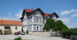 Коммерческая недвижимость в Целе, Словения, 956 м2