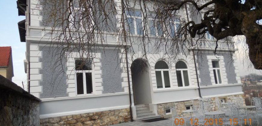 Коммерческая недвижимость в Целе, Словения, 956 м2