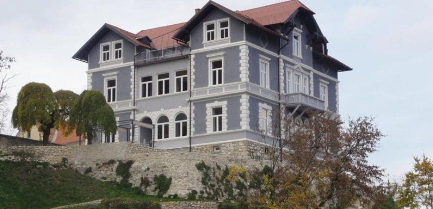 Коммерческая недвижимость в Целе, Словения, 956 м2