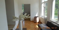 Коммерческая недвижимость в Целе, Словения, 956 м2