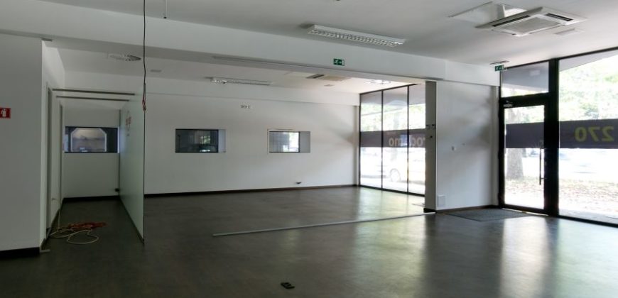 Коммерческая недвижимость в Любляне, Словения, 220 м2
