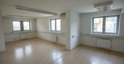Коммерческая недвижимость в Любляне, Словения, 337 м2