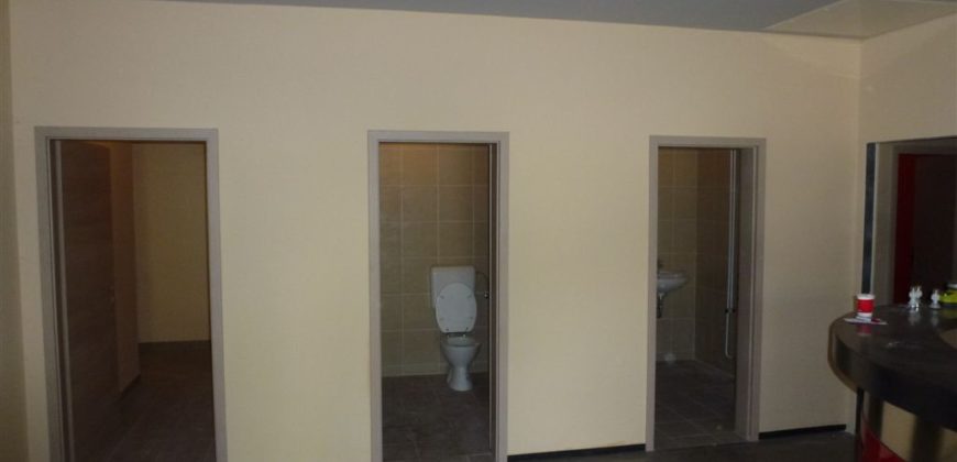 Коммерческая недвижимость в Мариборе, Словения, 1210 м2