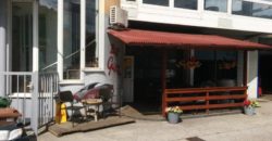Коммерческая недвижимость в Мариборе, Словения, 509 м2