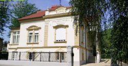 Коммерческая недвижимость в Мариборе, Словения, 850 м2