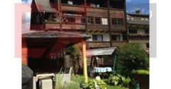Коммерческая недвижимость в Маутерндорфе, Австрия, 366 м2