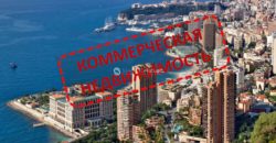 Коммерческая недвижимость в Монако, Монако, 25 м2