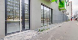 Коммерческая недвижимость в Праге, Чехия, 125 м2