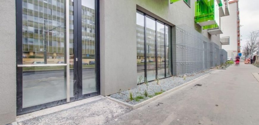 Коммерческая недвижимость в Праге, Чехия, 125 м2