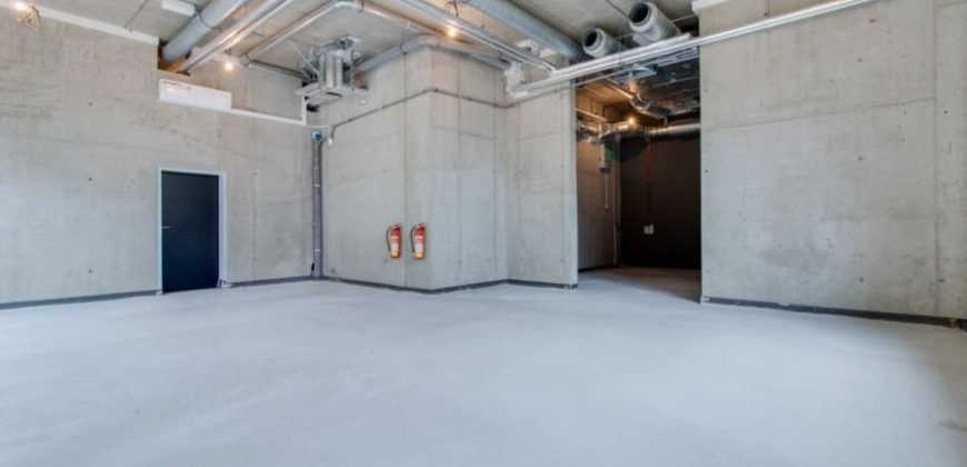 Коммерческая недвижимость в Праге, Чехия, 125 м2