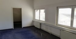 Коммерческая недвижимость в Севнице, Словения, 4593 м2