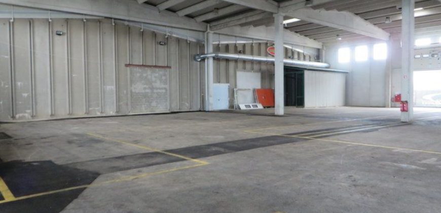 Коммерческая недвижимость в Сежане, Словения, 7472 м2