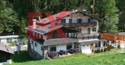 Коммерческая недвижимость в Шпиталь-ам-Земмеринге, Австрия, 1308 м2