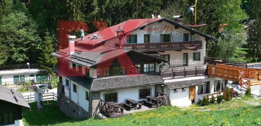 Коммерческая недвижимость в Шпиталь-ам-Земмеринге, Австрия, 1308 м2