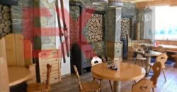 Коммерческая недвижимость в Шпиталь-ам-Земмеринге, Австрия, 1308 м2