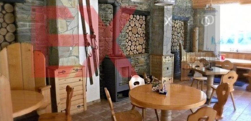 Коммерческая недвижимость в Шпиталь-ам-Земмеринге, Австрия, 1308 м2