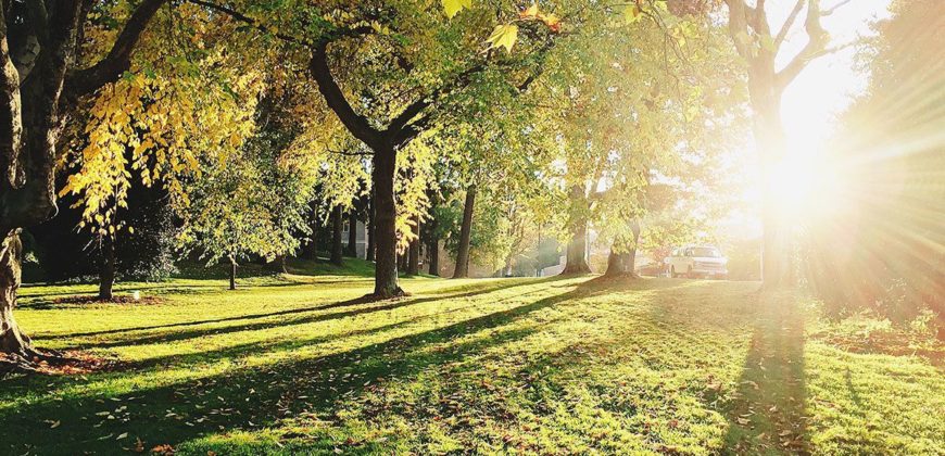 Квартира в Берлине, Германия, 31 м2