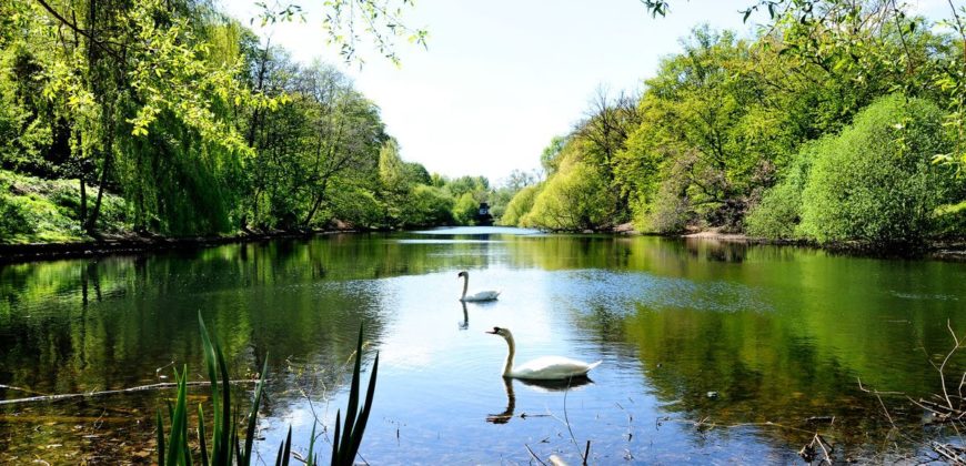 Квартира в Берлине, Германия, 31 м2