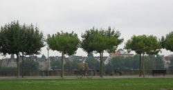 Квартира в Дюссельдорфе, Германия, 52 м2