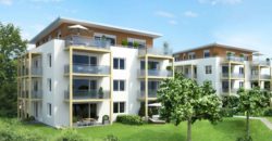 Квартира в Шаффхаузене, Швейцария, 90 м2