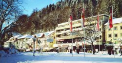 Отель, гостиница в Баден-Вюртемберге, Германия, 1242 м2